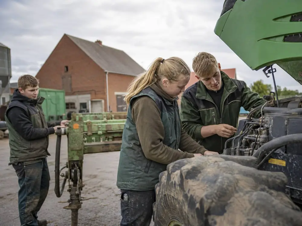 Drei Jugendliche prüfen im Hof eines Bauernhofs den Motor eines Traktors.